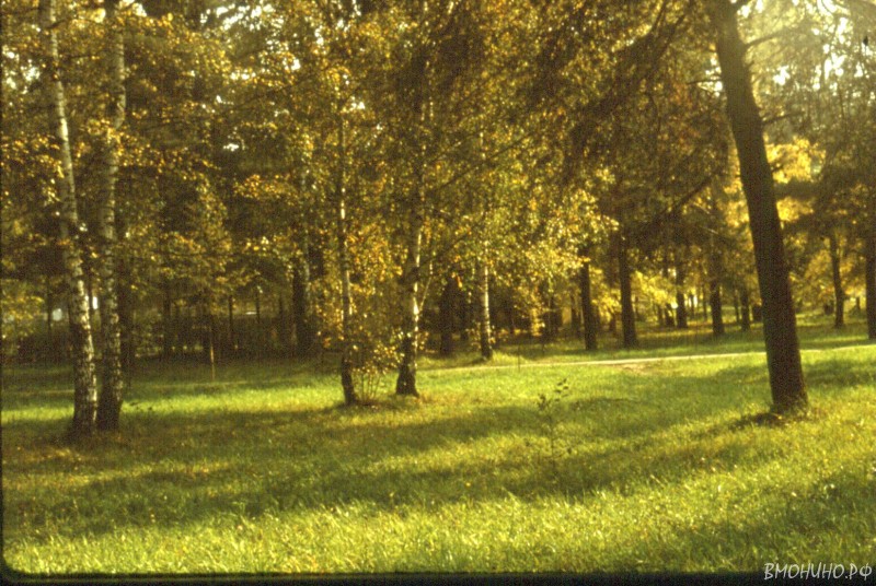Scan 130108 0007 Scan 130108 0007