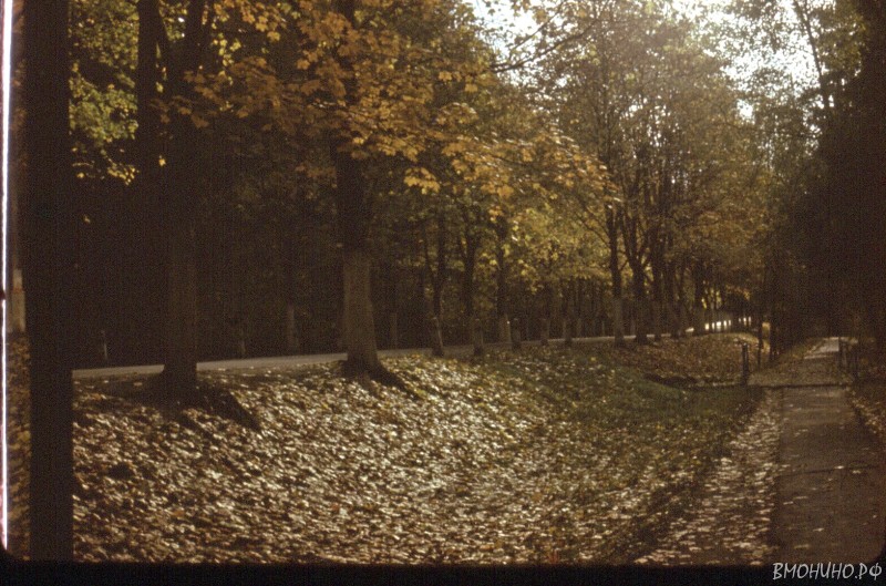 Scan 130108 0046 Scan 130108 0046
