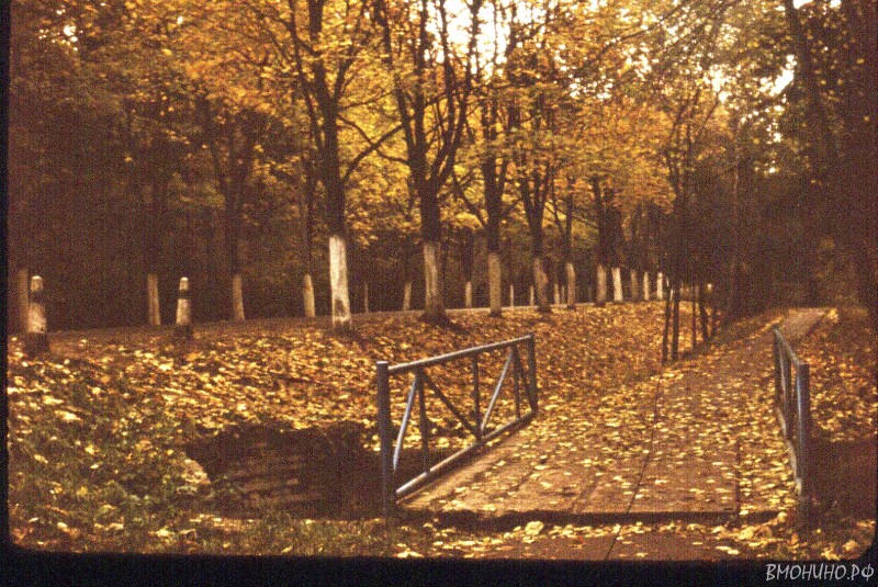 Scan 130108 0095 Scan 130108 0095